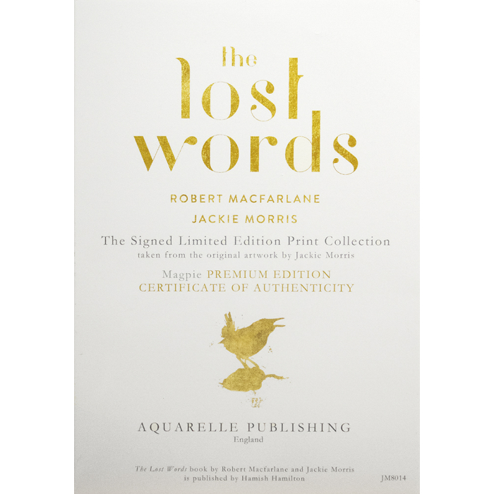 Book The Lost Words 