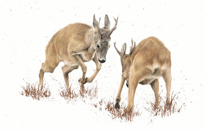 Rutt Roo Roe Rut by Kimberly Dewhurst :: Hinckley-Framers